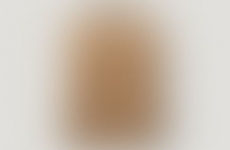 Artist Assets