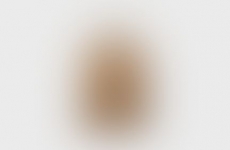 Artist Assets