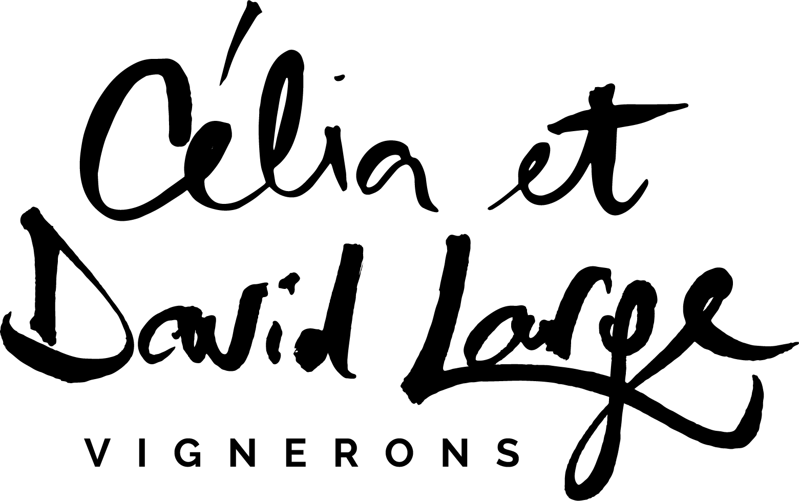 David Large, Vigneron indépendant – Sommelier conseil